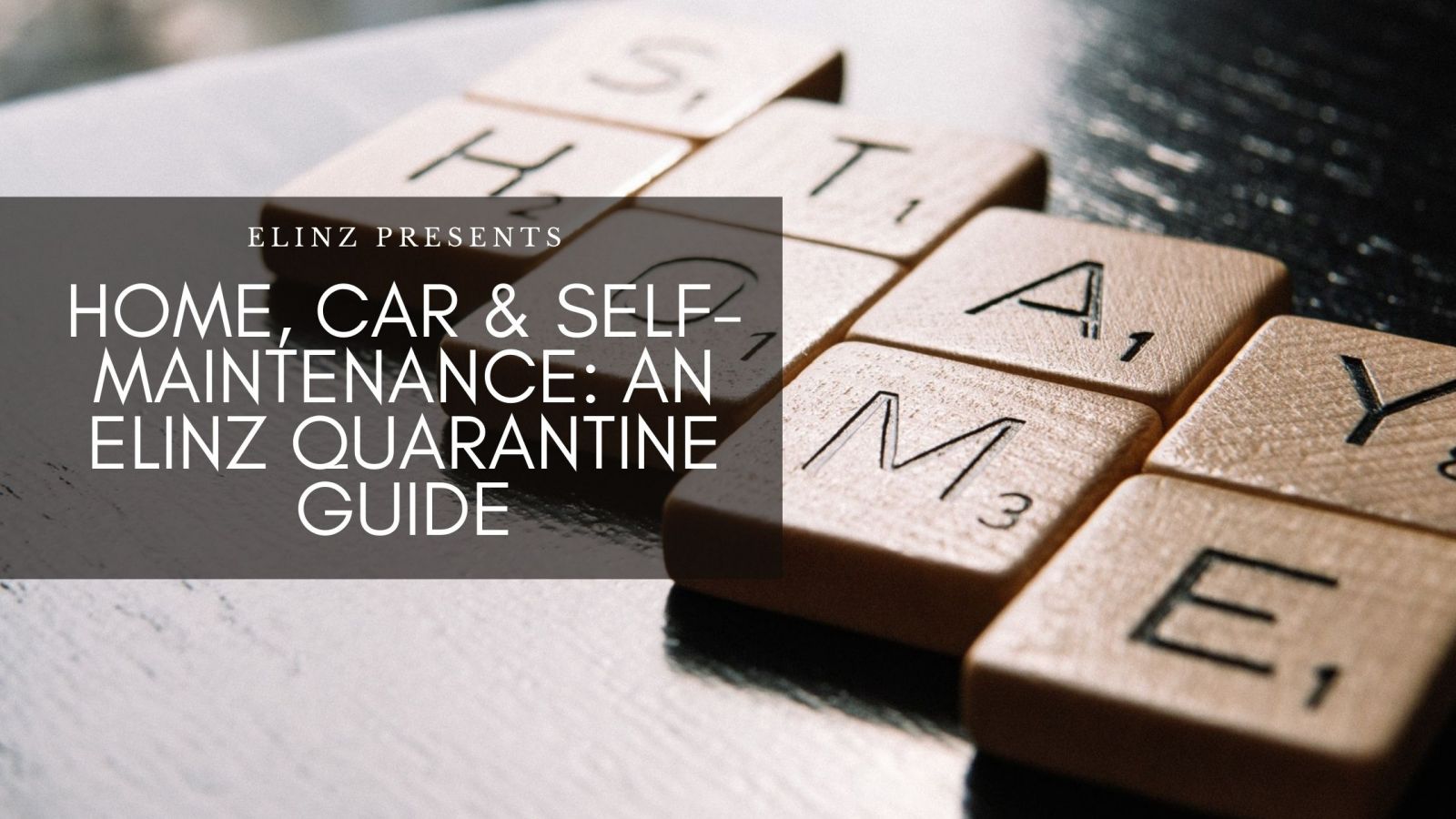 Home, Car & Self-Maintenace: Elinz Quarantine Tips Blog Banner